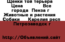 Щенки той терьера › Цена ­ 10 000 - Все города, Пенза г. Животные и растения » Собаки   . Карелия респ.,Петрозаводск г.